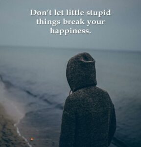 don't-let-little-stupid-things-break-your-happiness