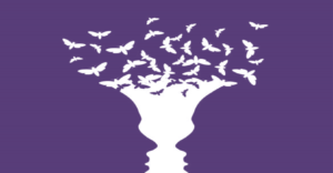 navigating-perception-management-and-cognitive-learning-a-guide-for-team-players