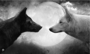 the-choice-to-nurture-the-good-wolf
